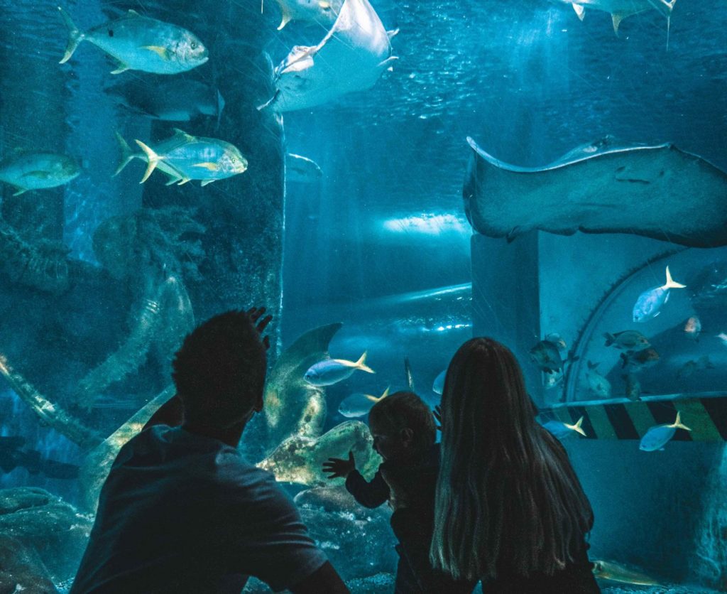 Melbourne Aquarium